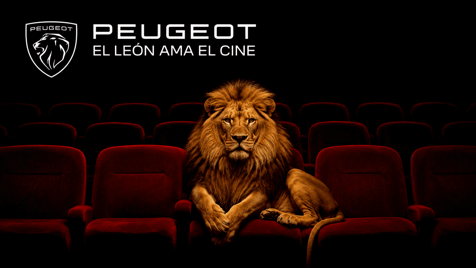 Imagen de la promoción