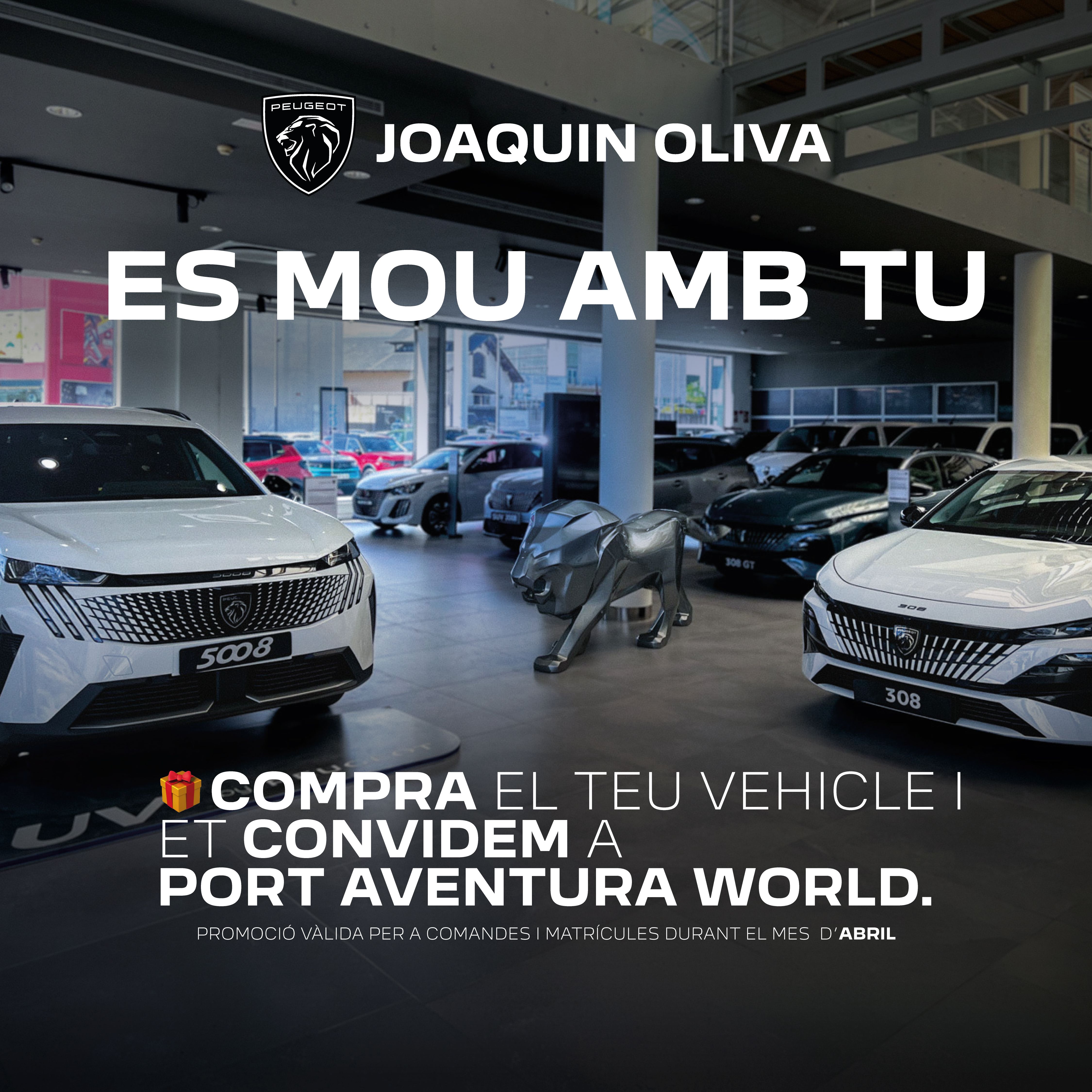 Imagen de fondo relacionada con la promocion