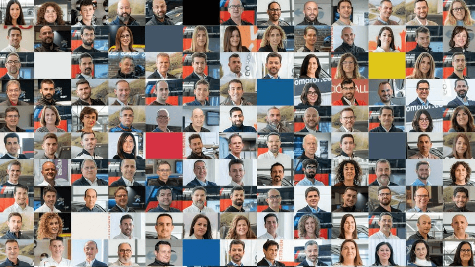 acerca de este informe