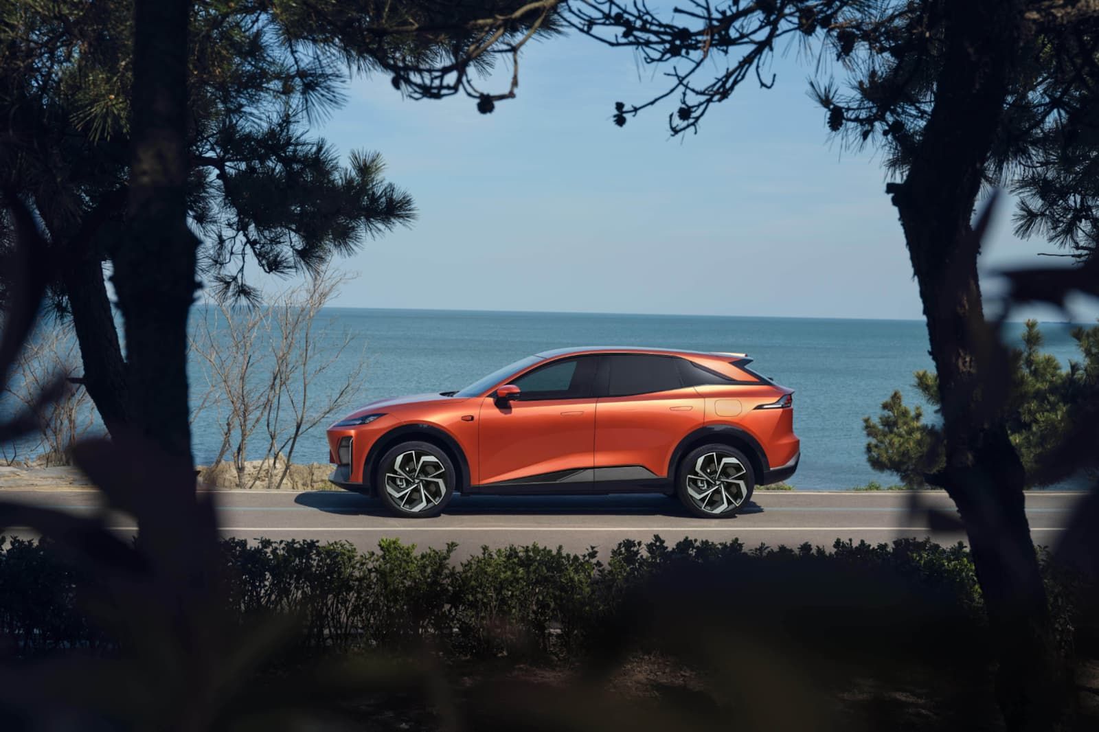 Imagen de la promoción